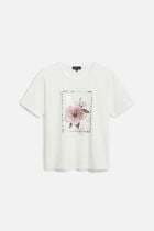 T-shirt Tim-Stamp brown woman