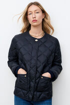 Ganache coat navy blue woman